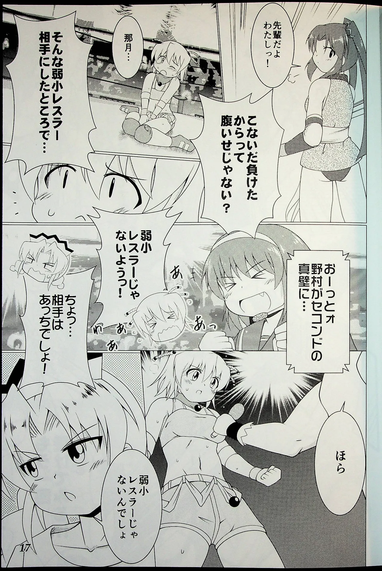 Wrestle Summit 2016 Page.16