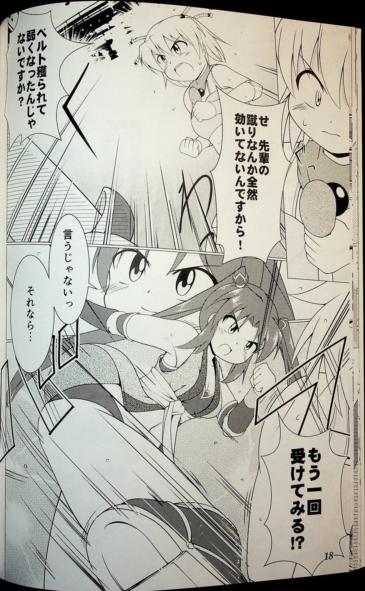 Wrestle Summit 2016 Page.17