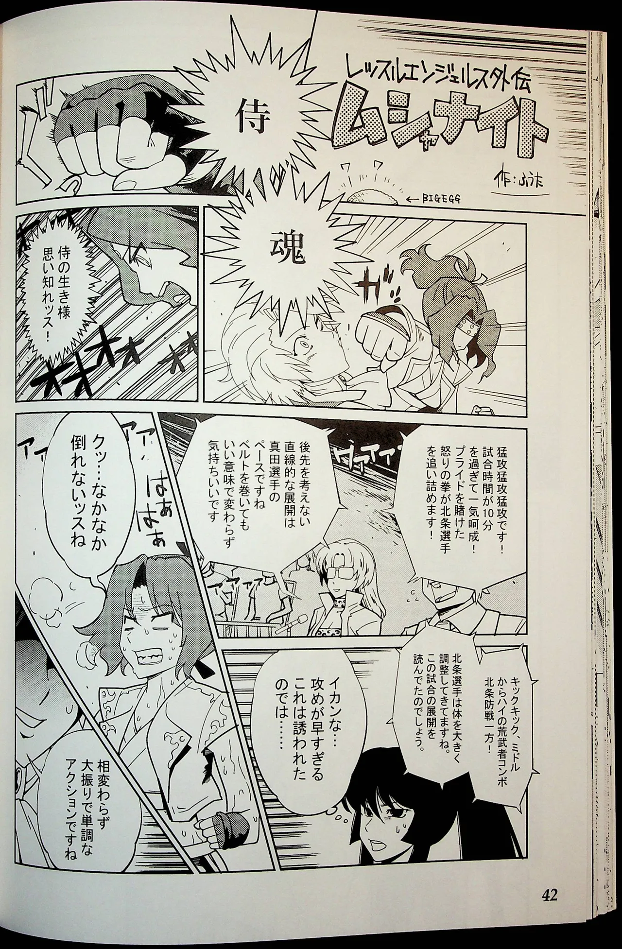 Wrestle Summit 2016 Page.41