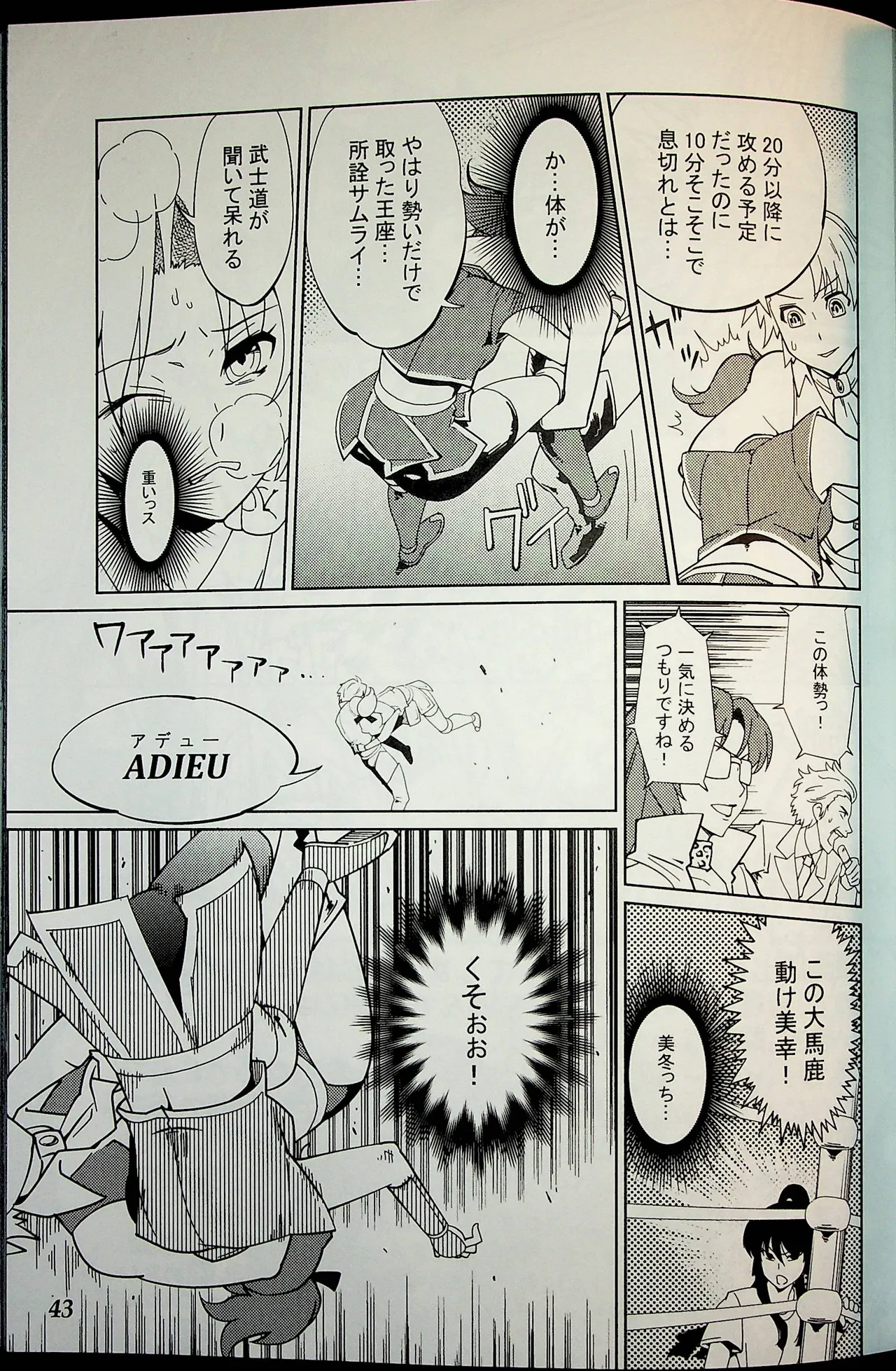 Wrestle Summit 2016 Page.42