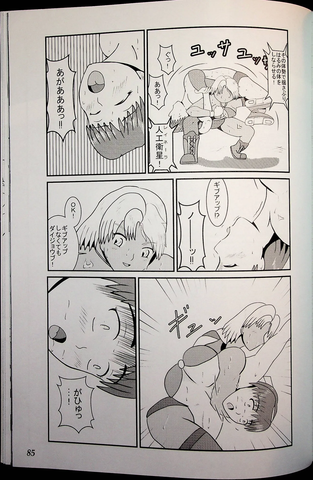 Wrestle Summit 2016 Page.84