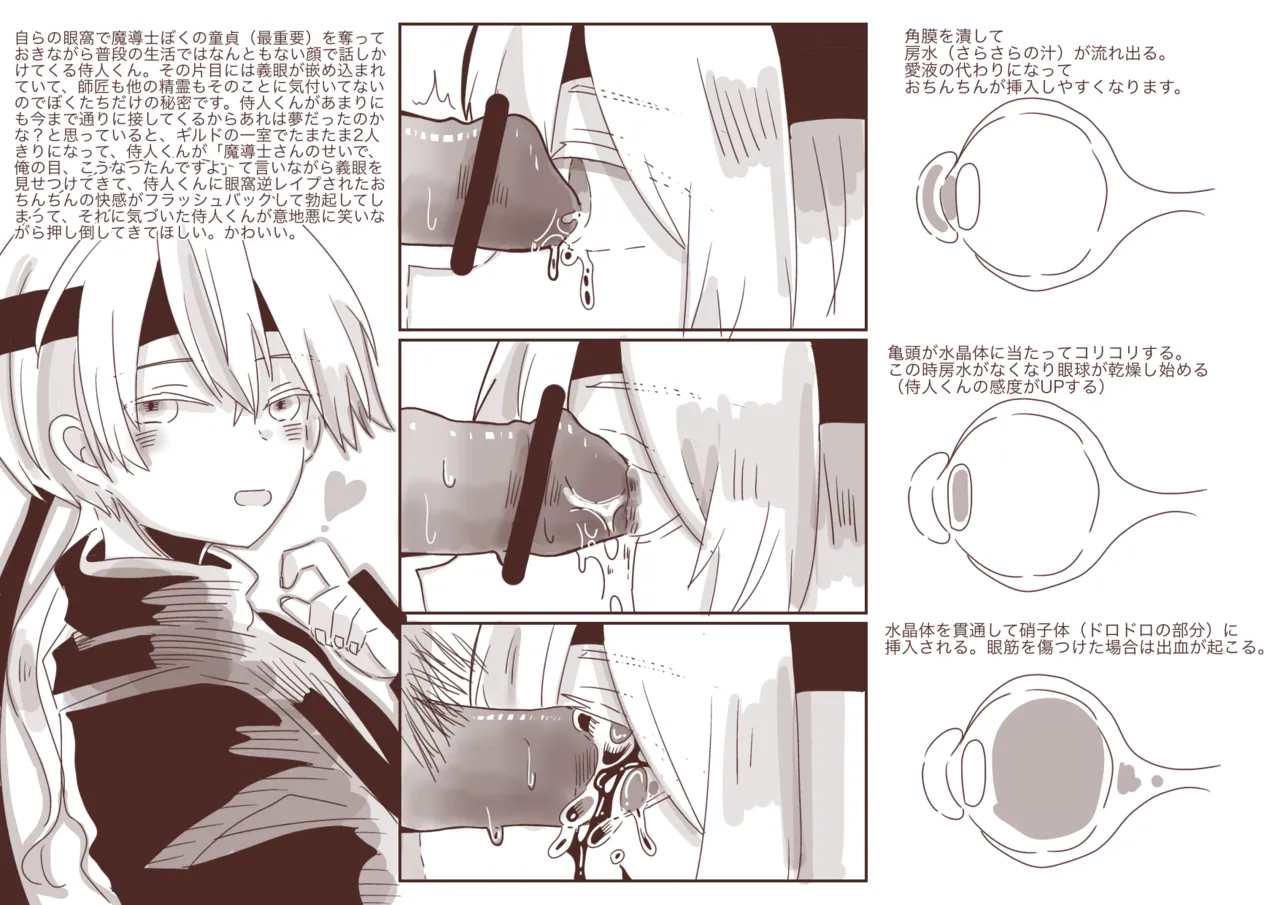 サムライルくんのアイレイプ