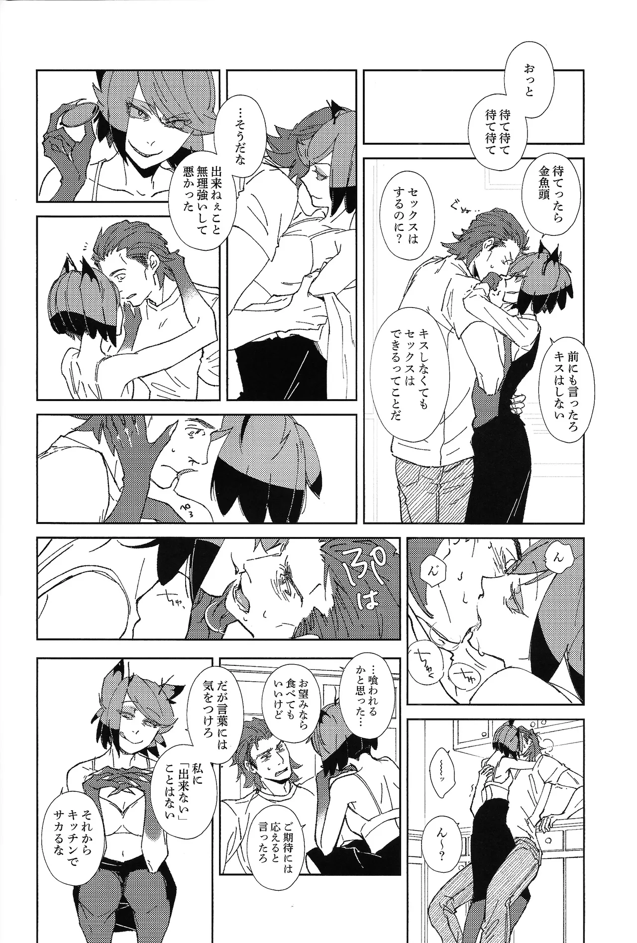 TRANSFIXING TRANSFORMATION Page.13