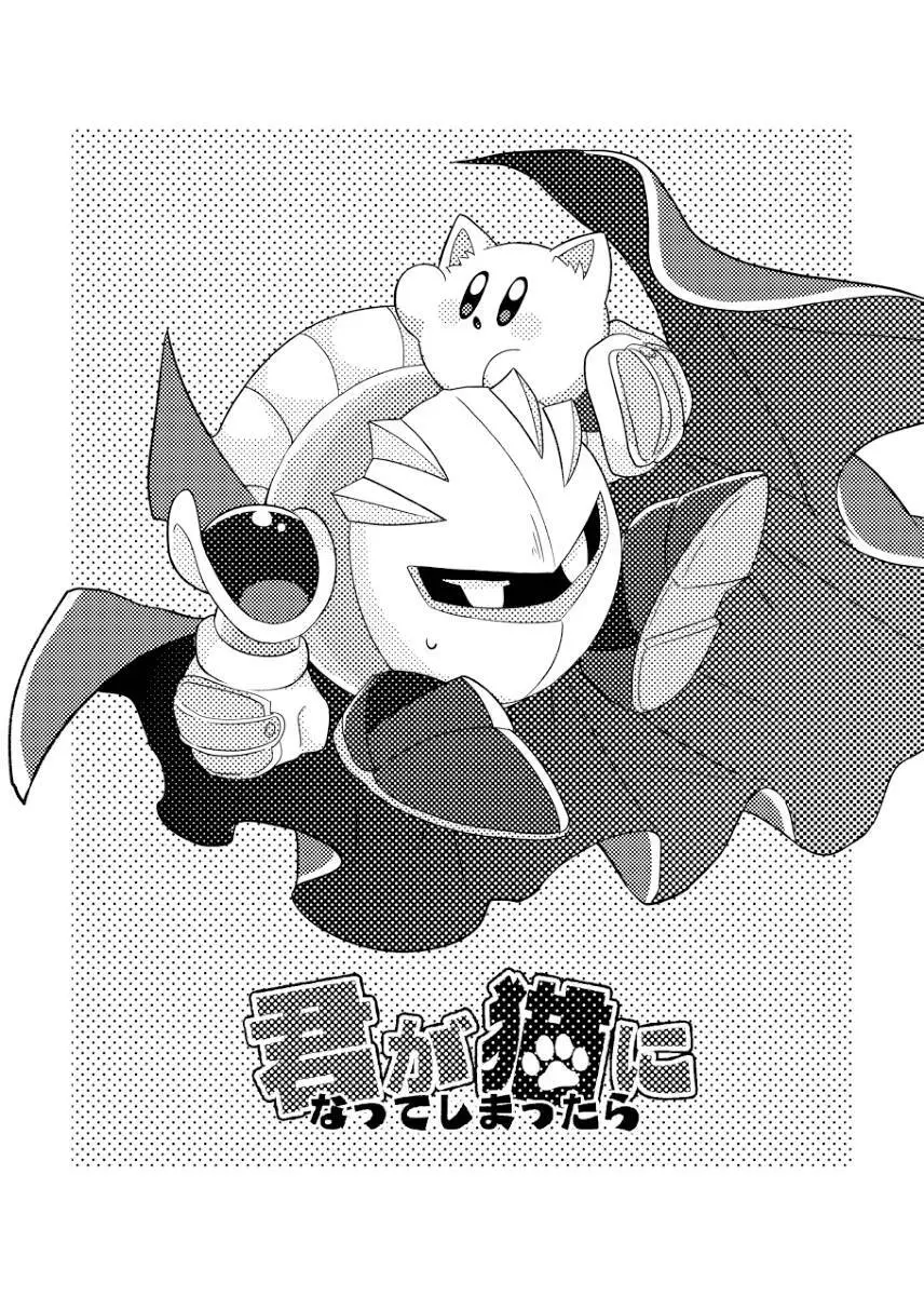 君が猫になってしまったら Page.2