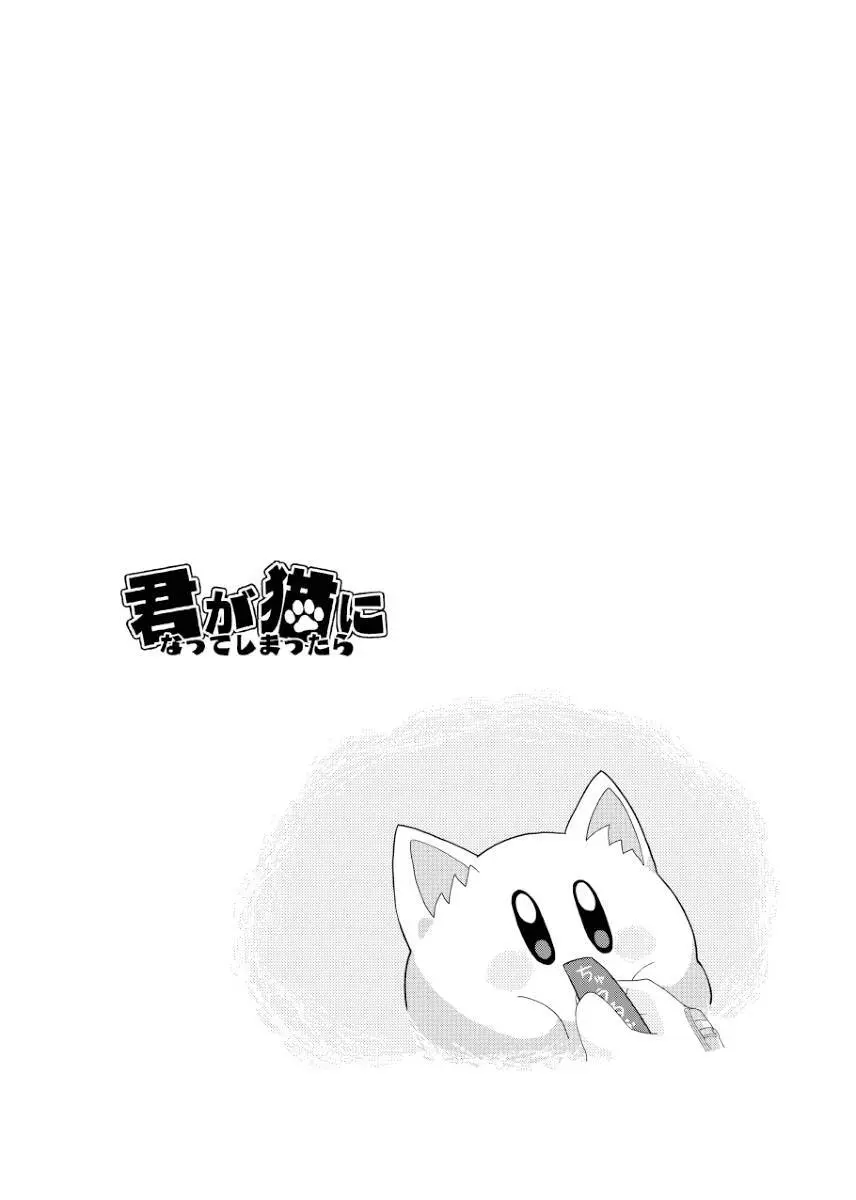 君が猫になってしまったら Page.8