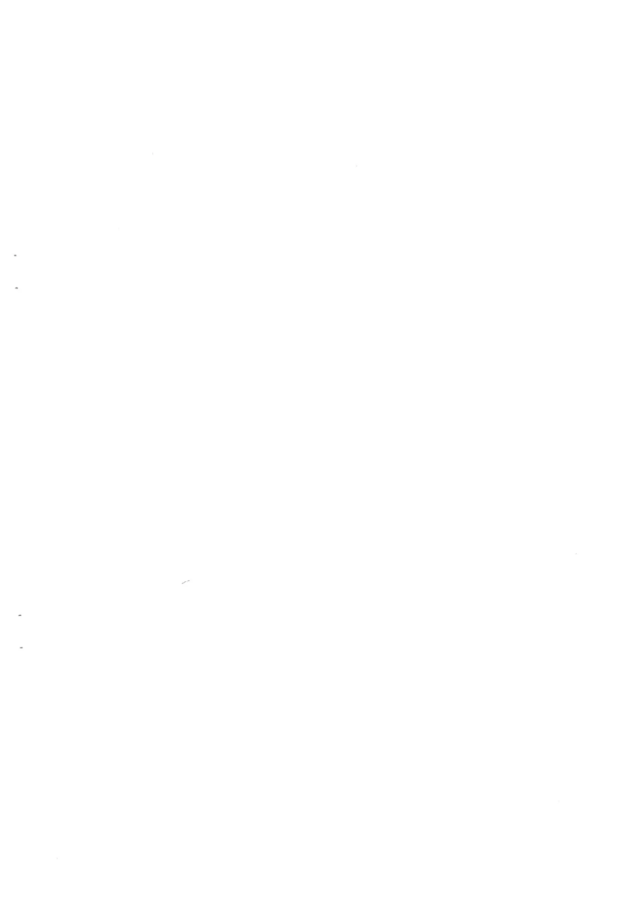 30人31脚で優勝っ Page.2