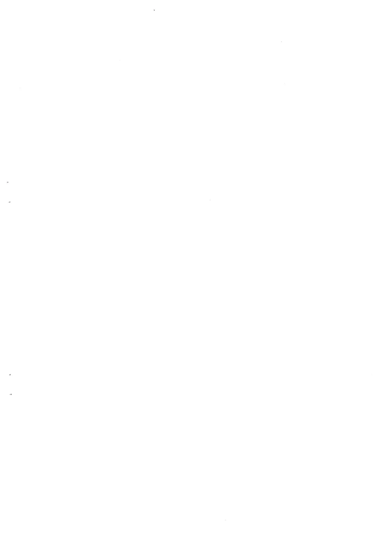 DOM 伝説の樹の黄金の実 「セットフェララフ画集」 Page.2