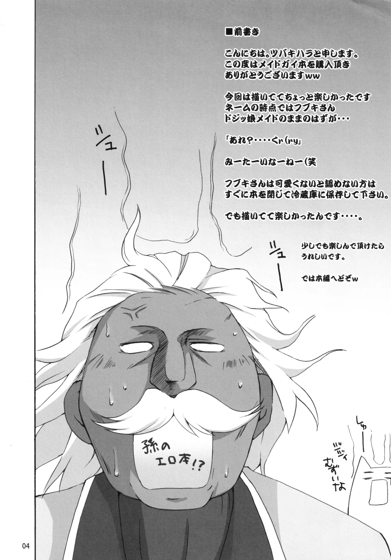 仮面のメイドガール Page.3