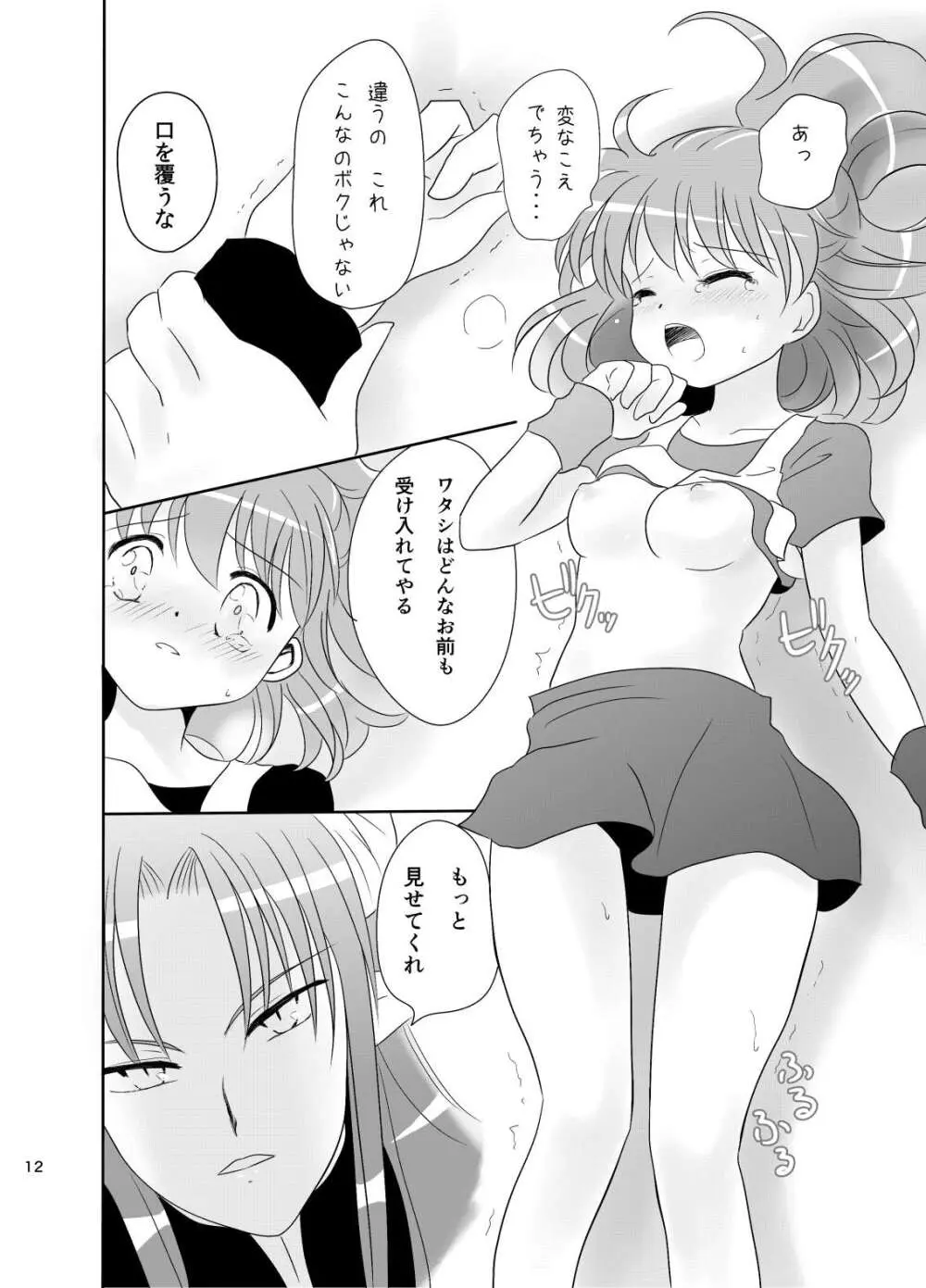 林檎のシブースト Page.11