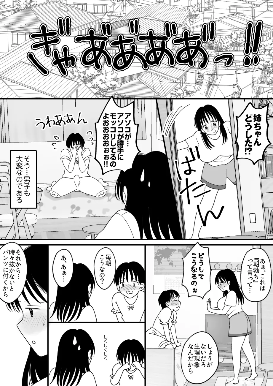姉弟。入れ替わり Page.24