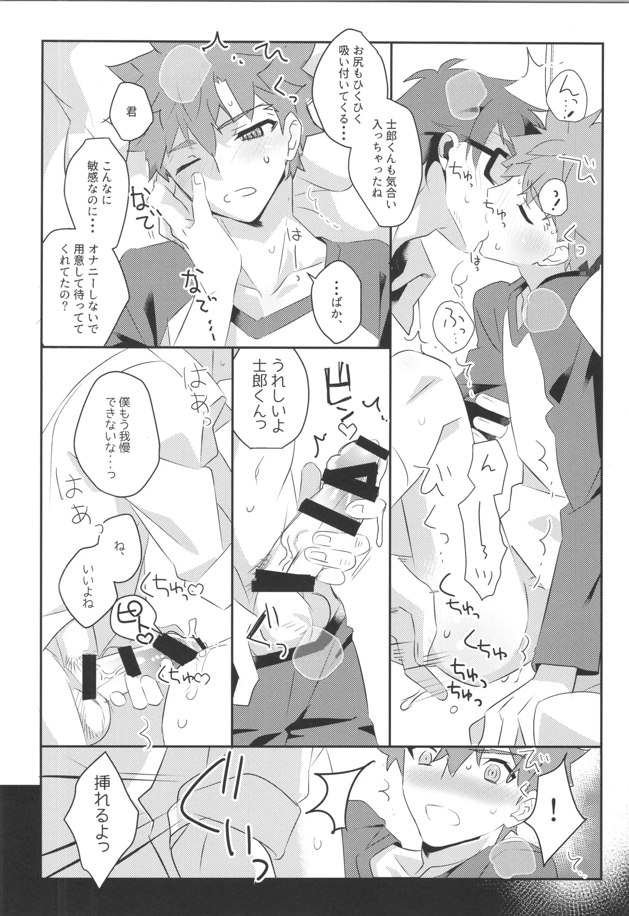 衛宮士郎MANIAX-1ST Page.11