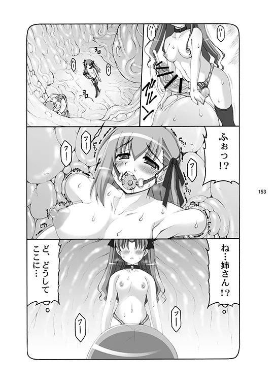 蟲鳥総集編デジタル版 Page.153