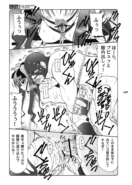 蟲鳥総集編デジタル版 Page.43