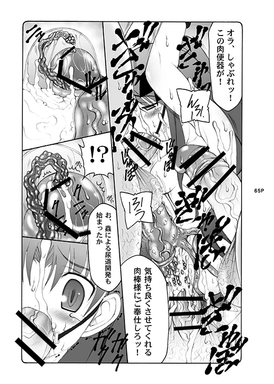 蟲鳥総集編デジタル版 Page.65