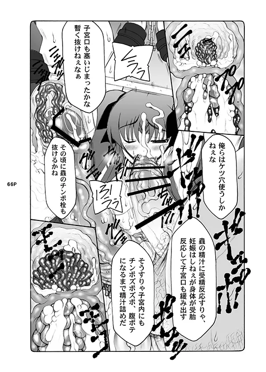 蟲鳥総集編デジタル版 Page.66