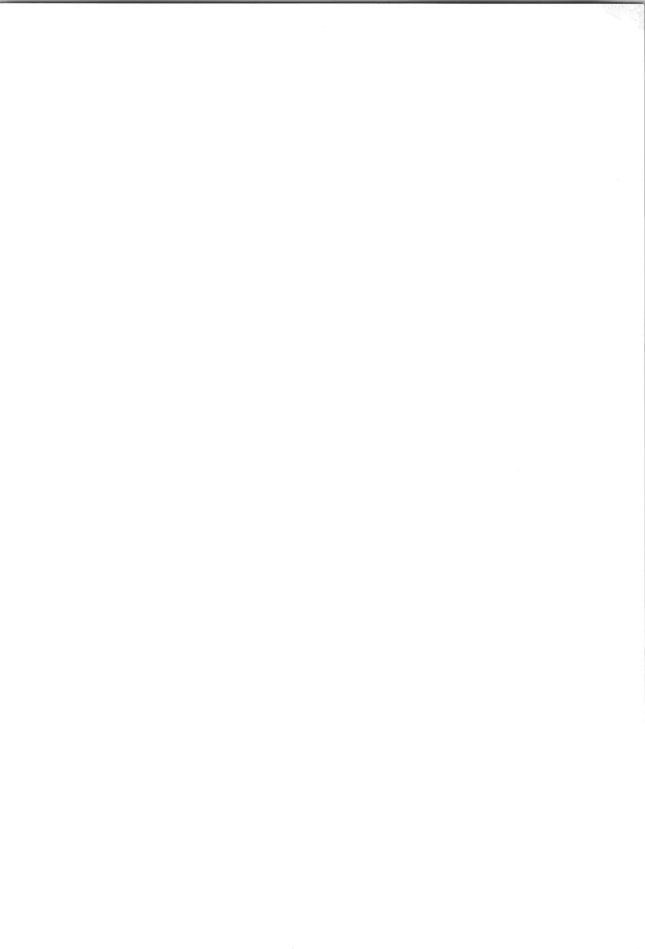 ENDLESS HAPPY END Page.238