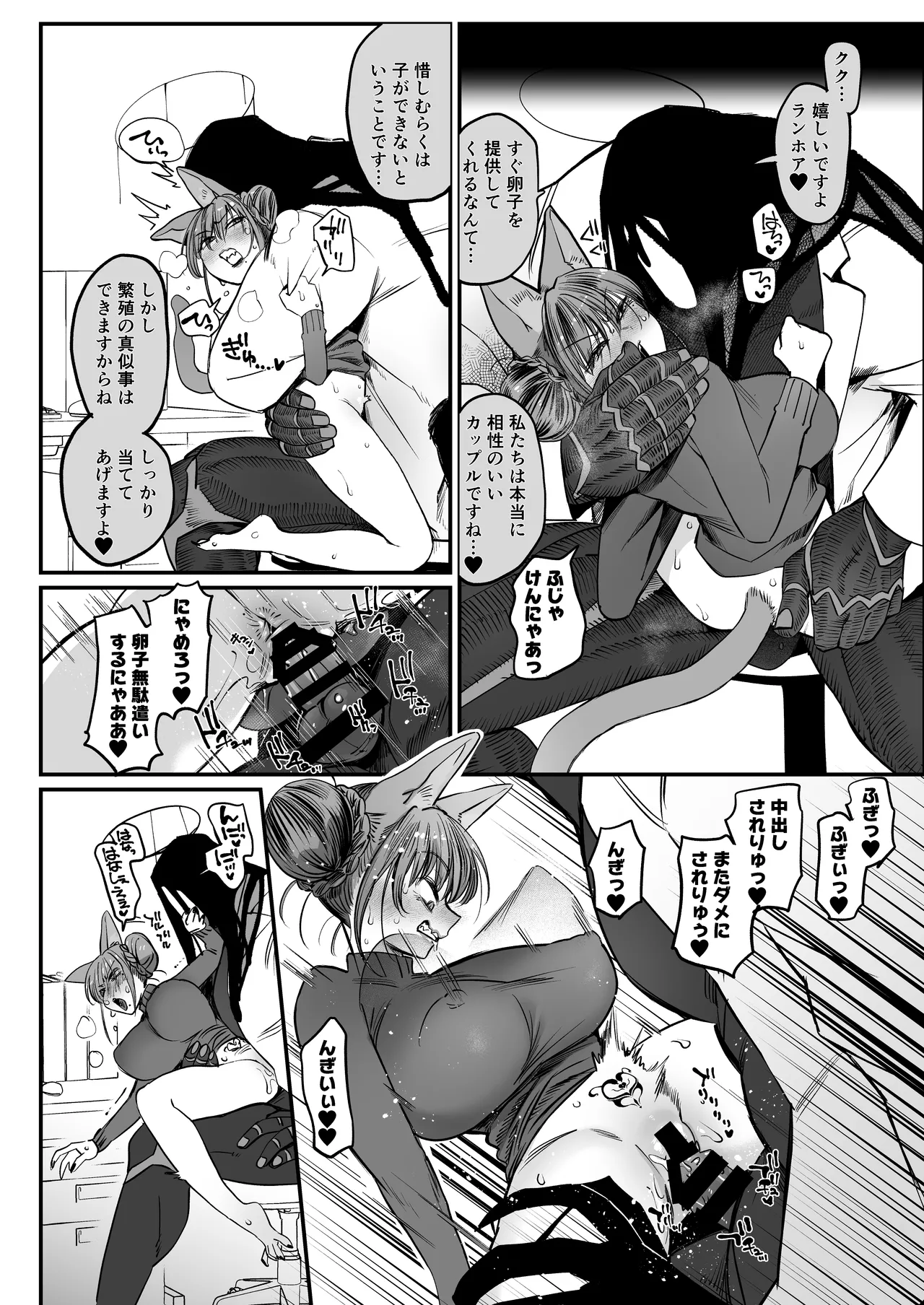 メスネコ！ランホアちゃん Page.11