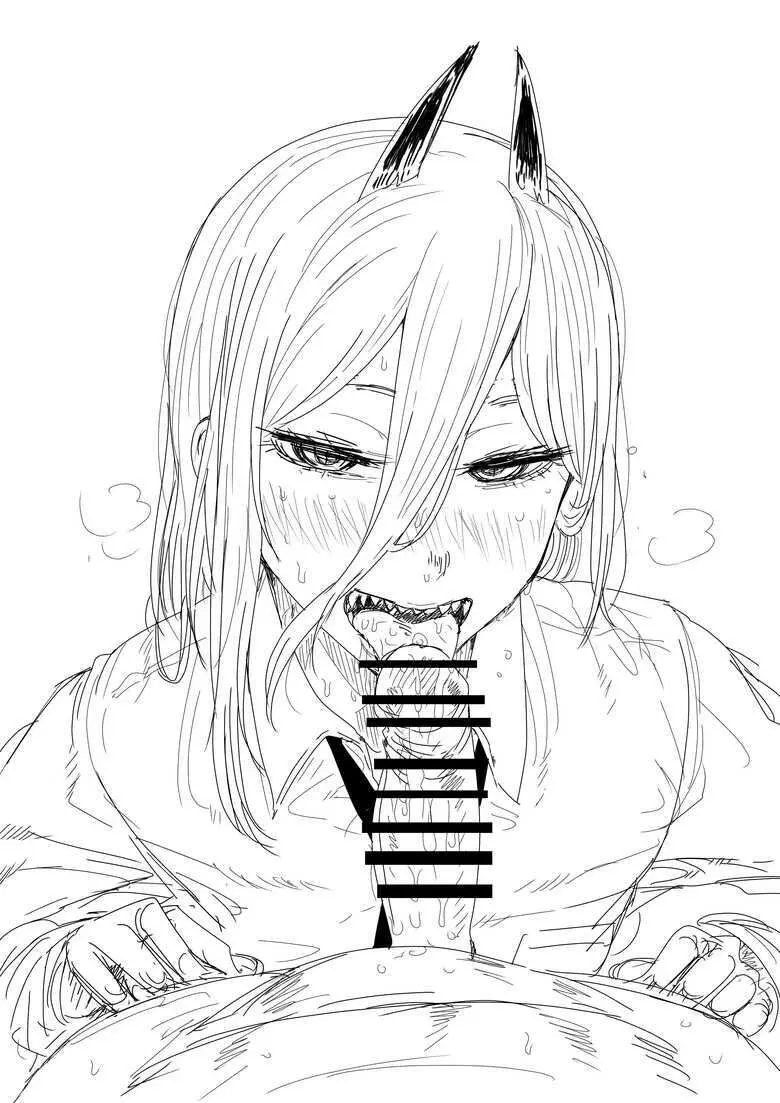 Kaiman Power CSM Page.5