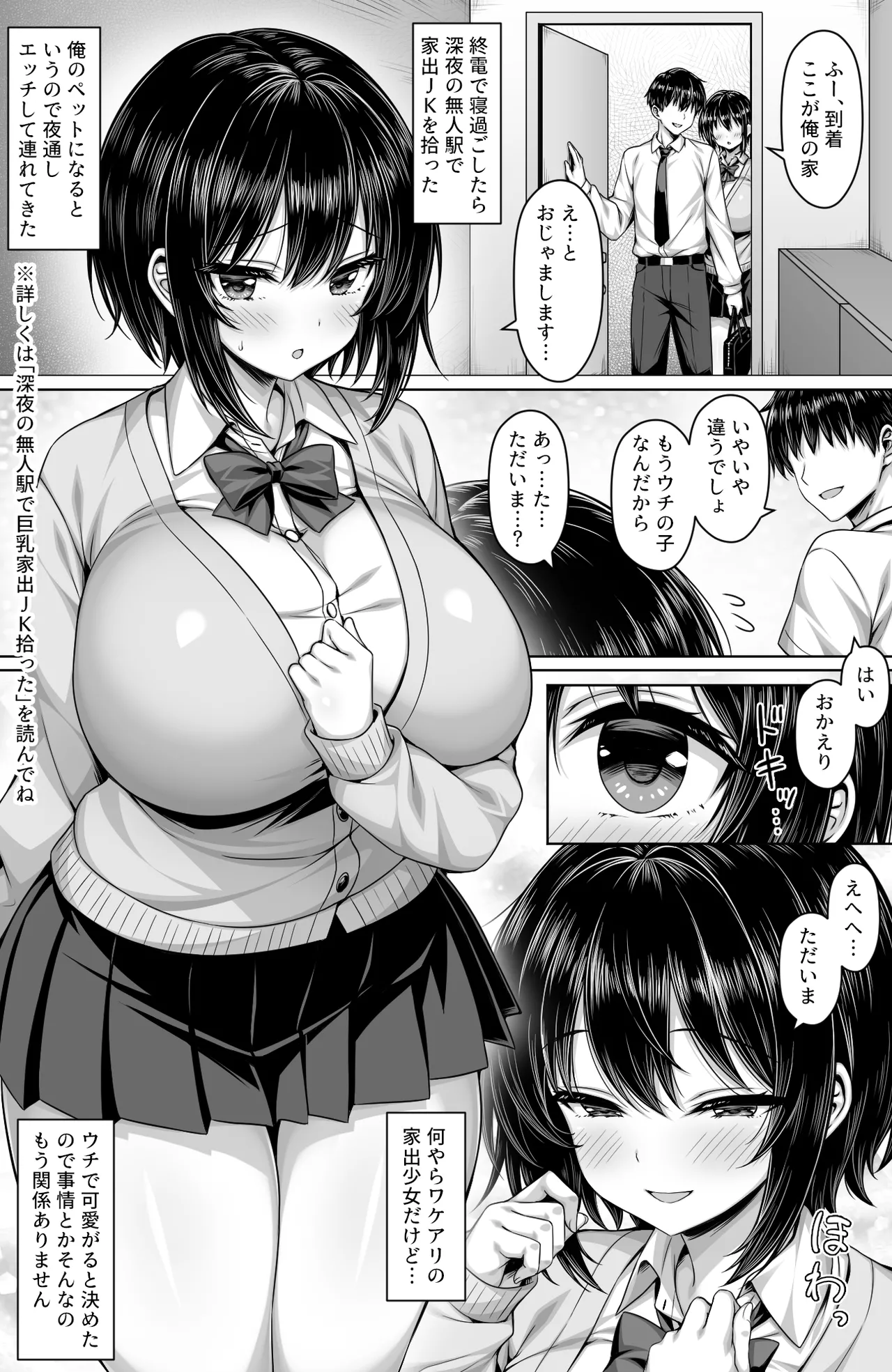 深夜の無人駅で拾った巨乳家出JKの飼い主の日常 Page.2