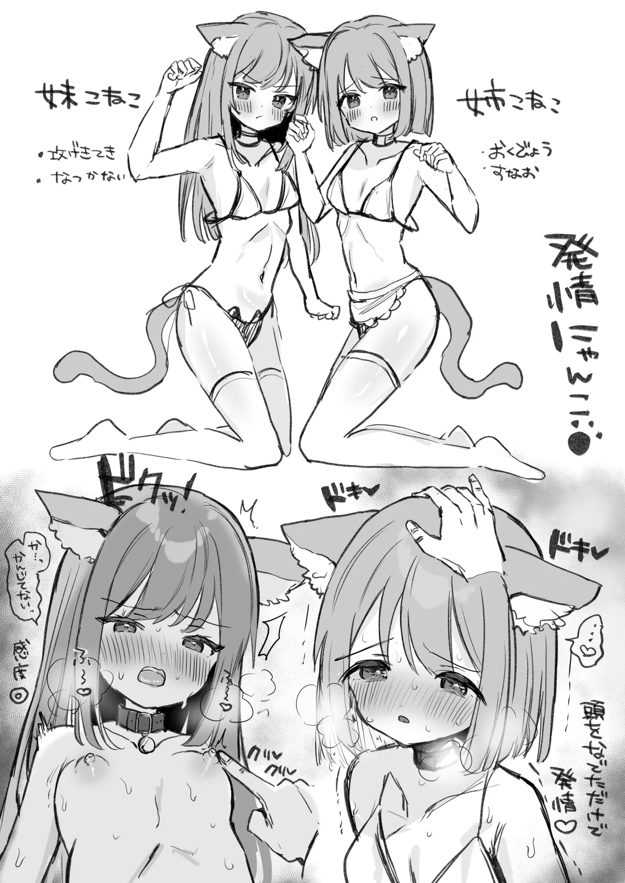 はつじょうにゃんこふたご Page.3