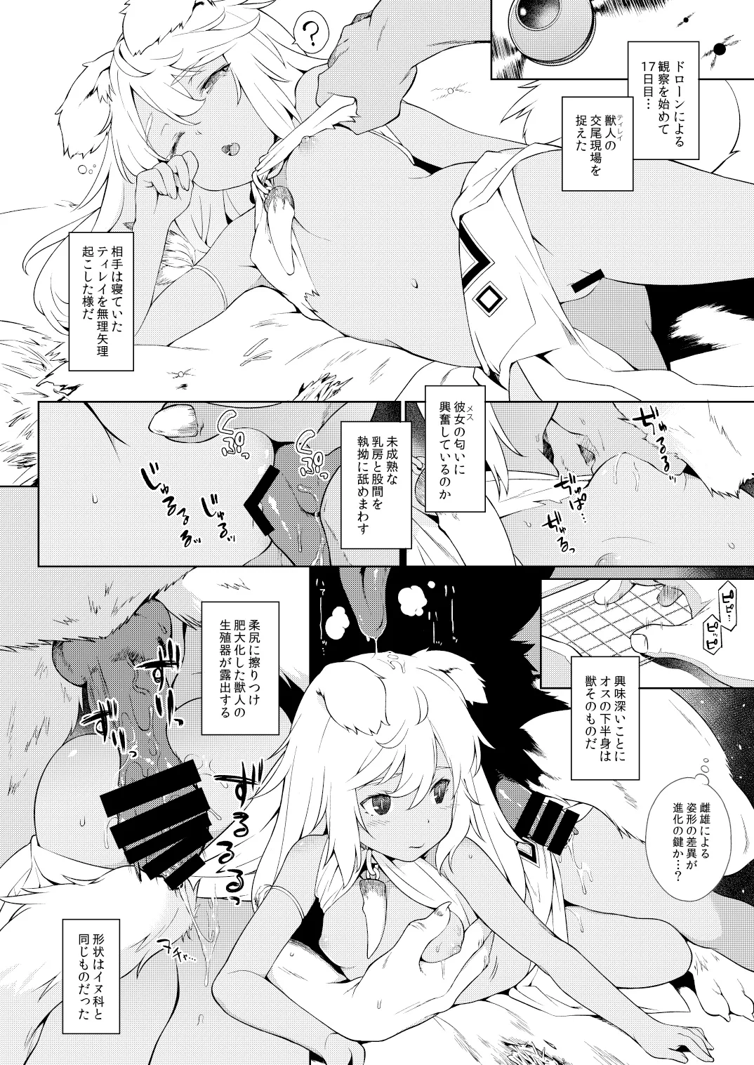獣人生態観察記録 Page.11
