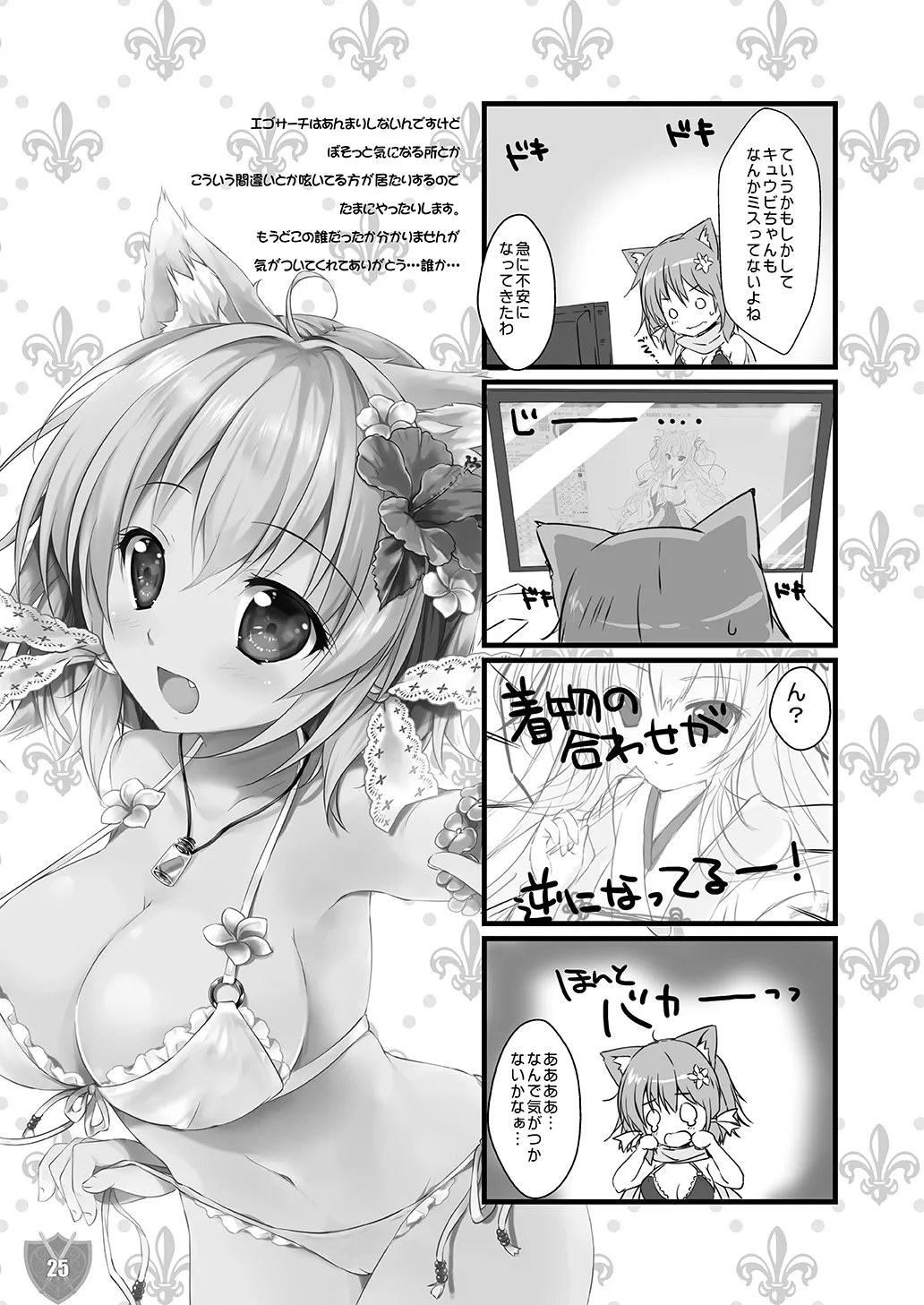 Aigis MIX Page.24