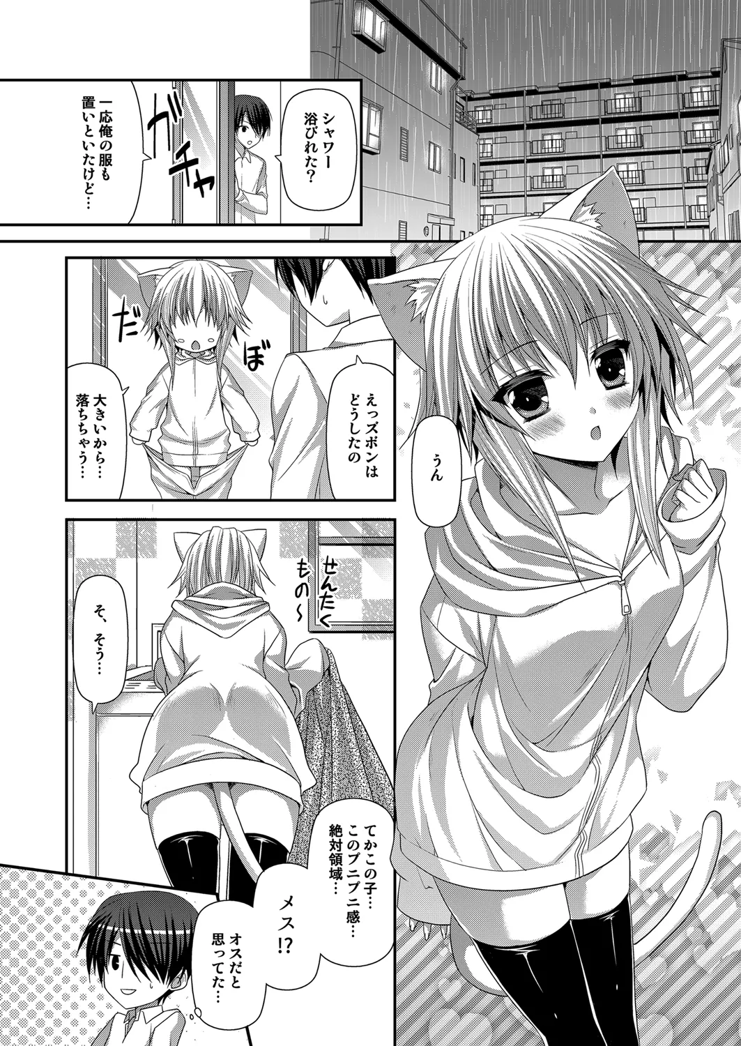 ビターなコーヒーとシュガーなミルク Lonely Cat Page.3