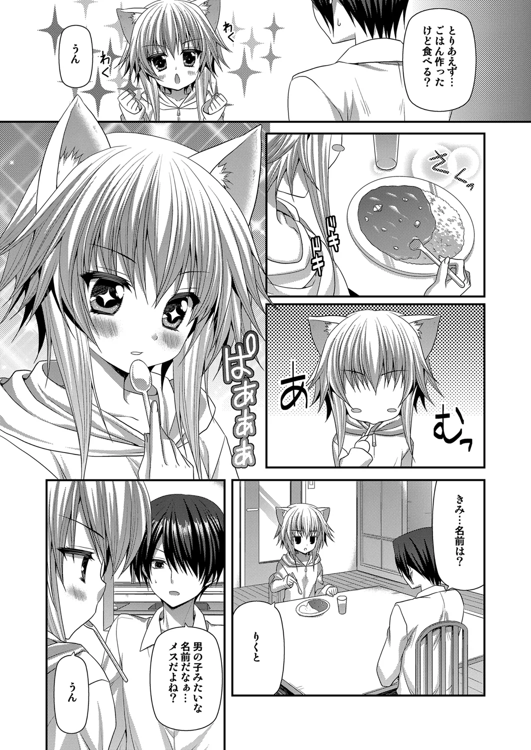 ビターなコーヒーとシュガーなミルク Lonely Cat Page.4