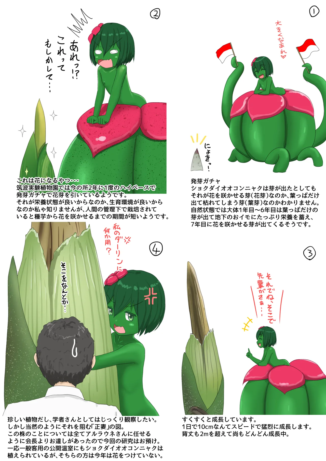 人工アルラウネ Page.58