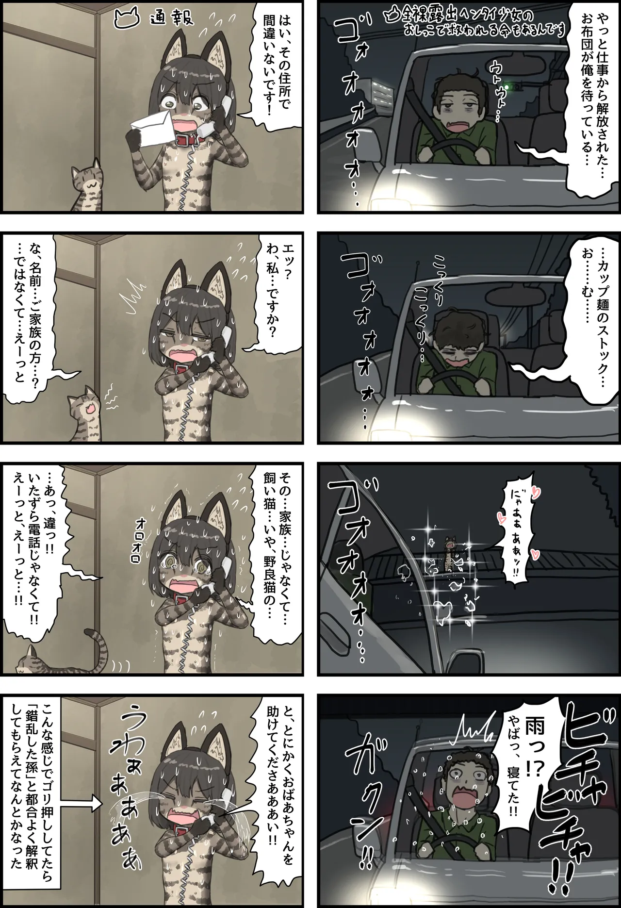 全裸に猫のボディペイントをされて夜の町を露出徘徊するハメになるお話