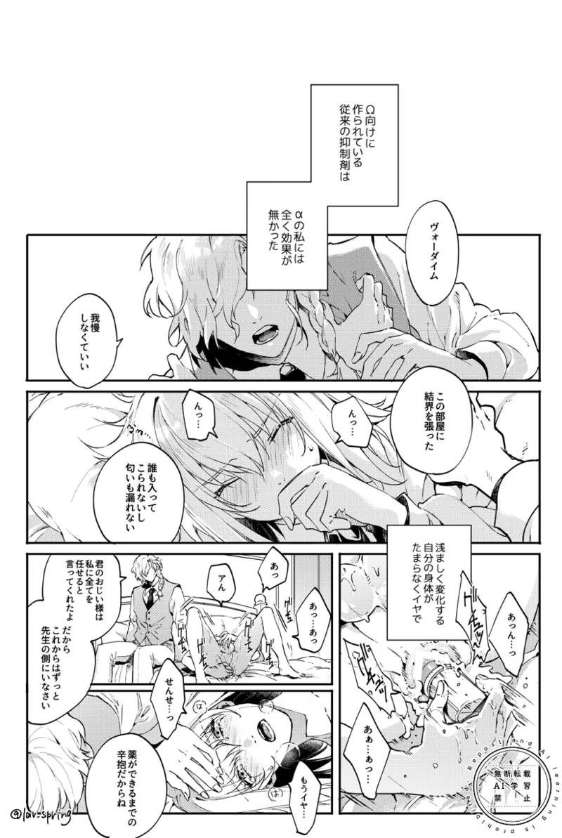 ロードアニムスフィアの秘密 Page.21