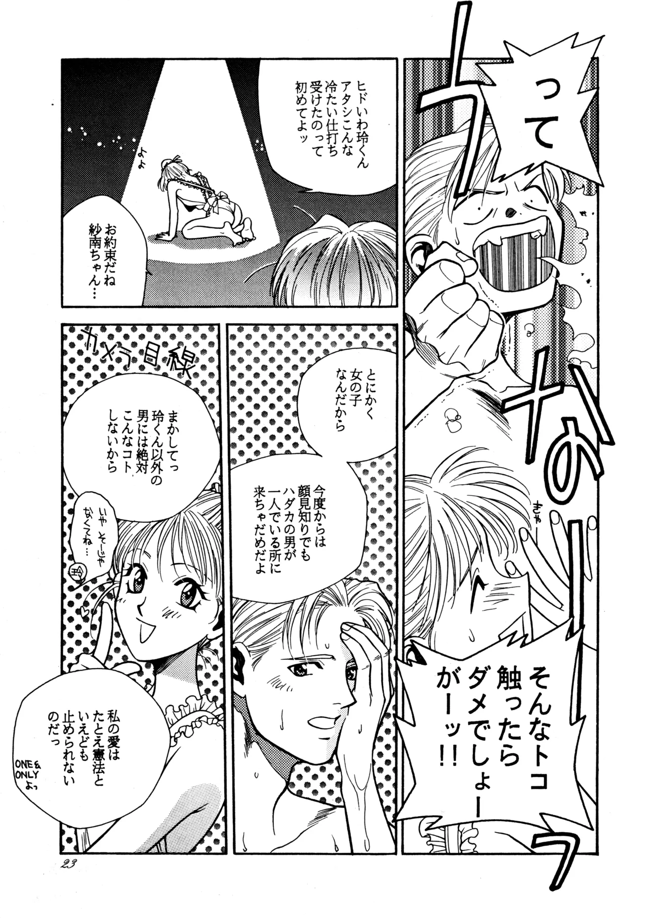 飛行原理ファルマン Page.22
