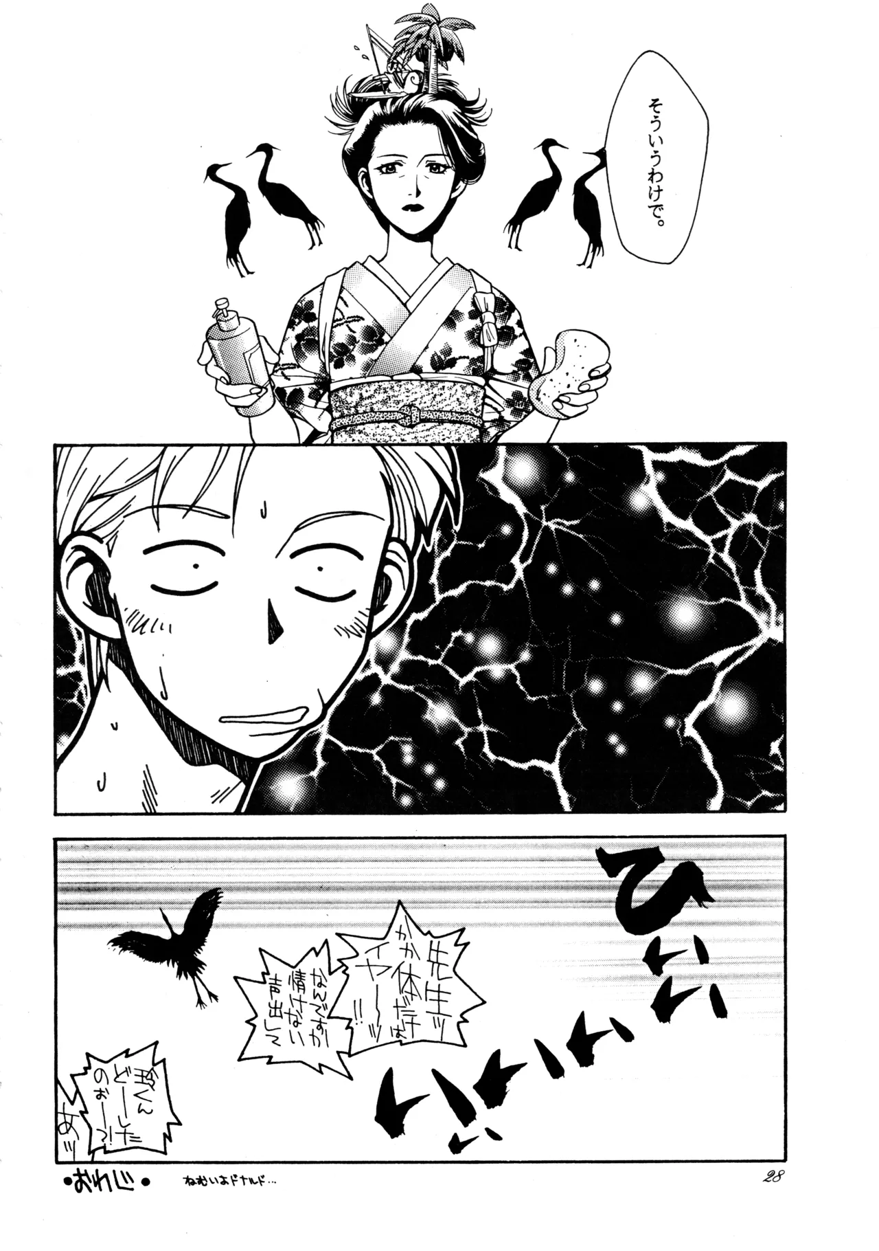 飛行原理ファルマン Page.27