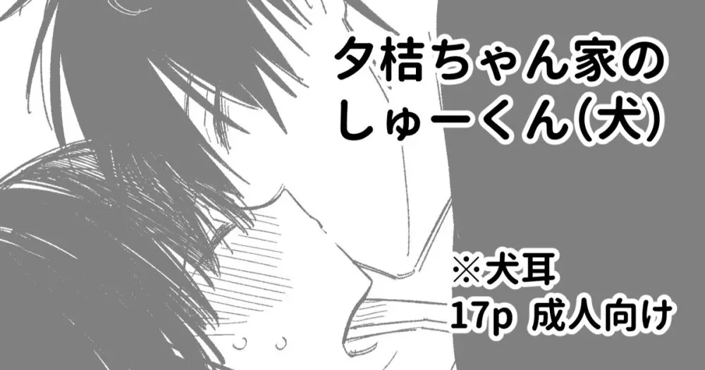 ゆきちゃん家のしゅーくん（犬）