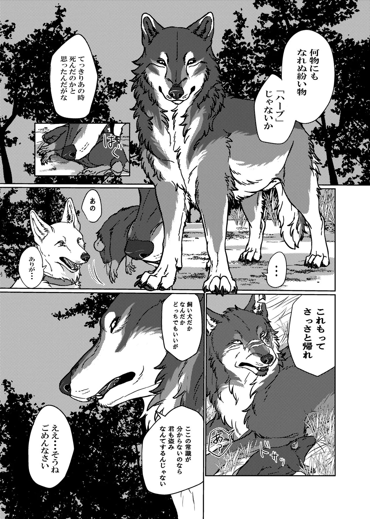 ETERNAL FIRST Page.7