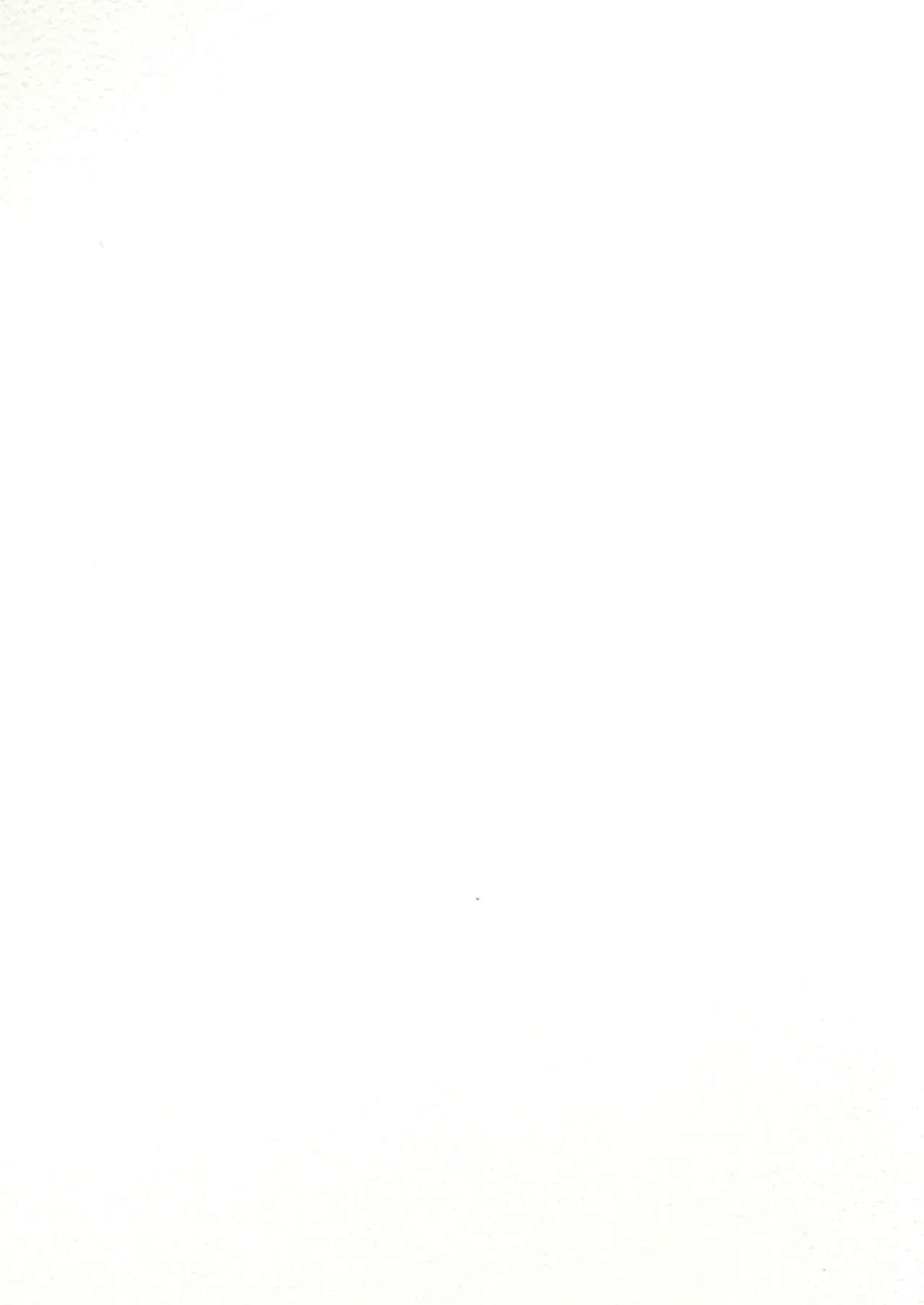 これもう巫女とか関係なくないですか!? Page.2