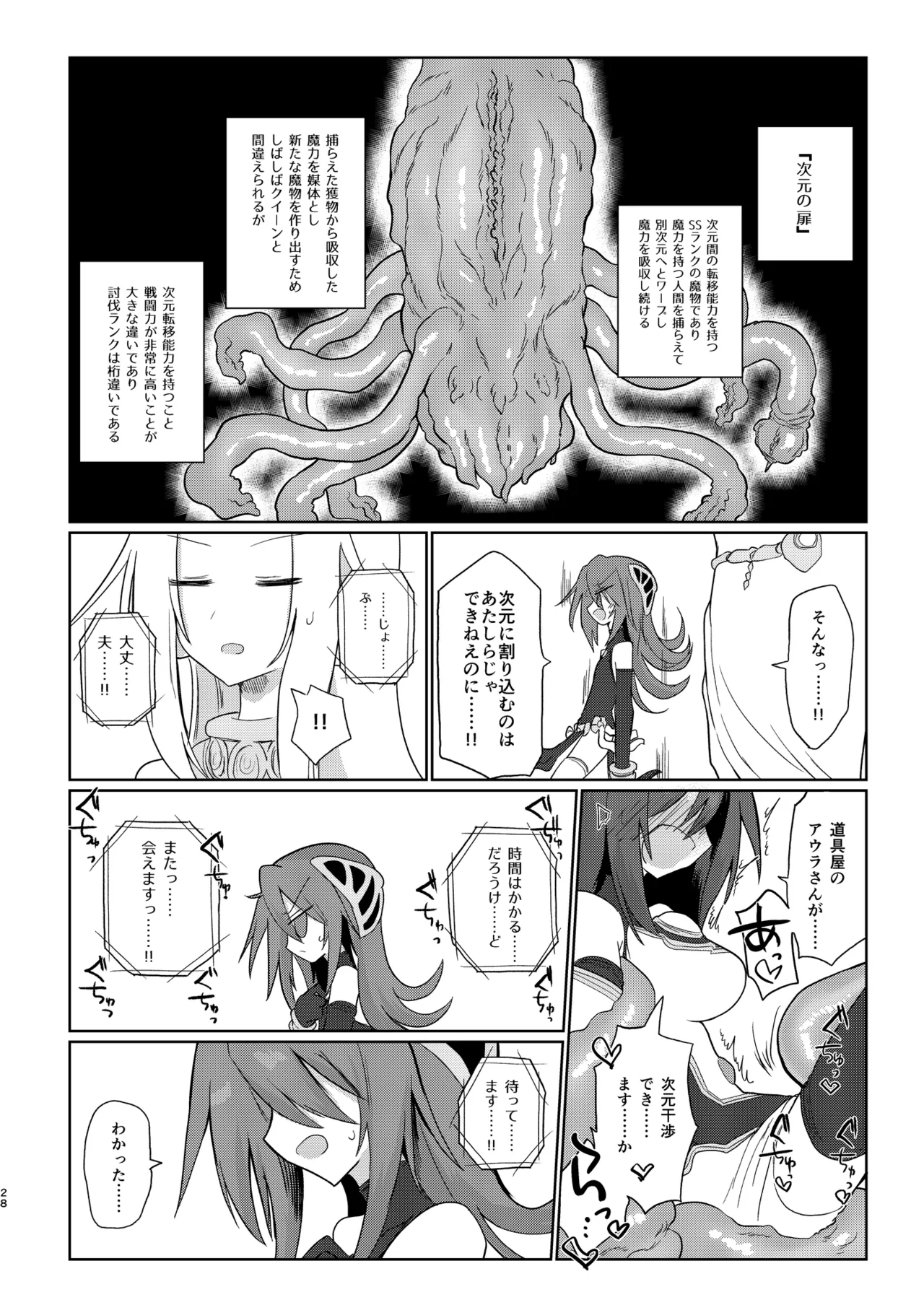 次元の小部屋 Page.27