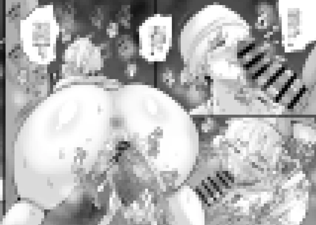 SEXしてなさそうな人ほどエグいSEXしてる説 Page.250