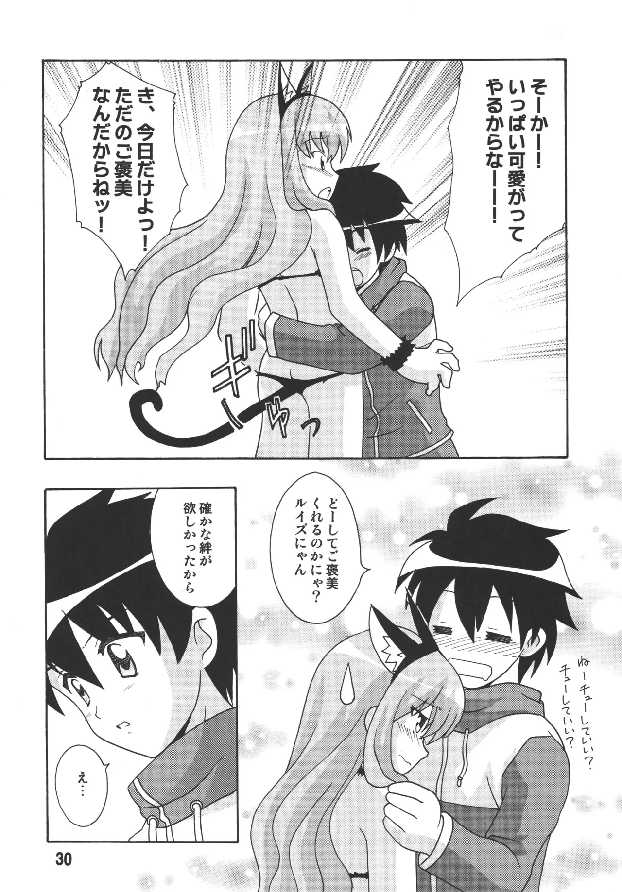 ルイズックス Page.29