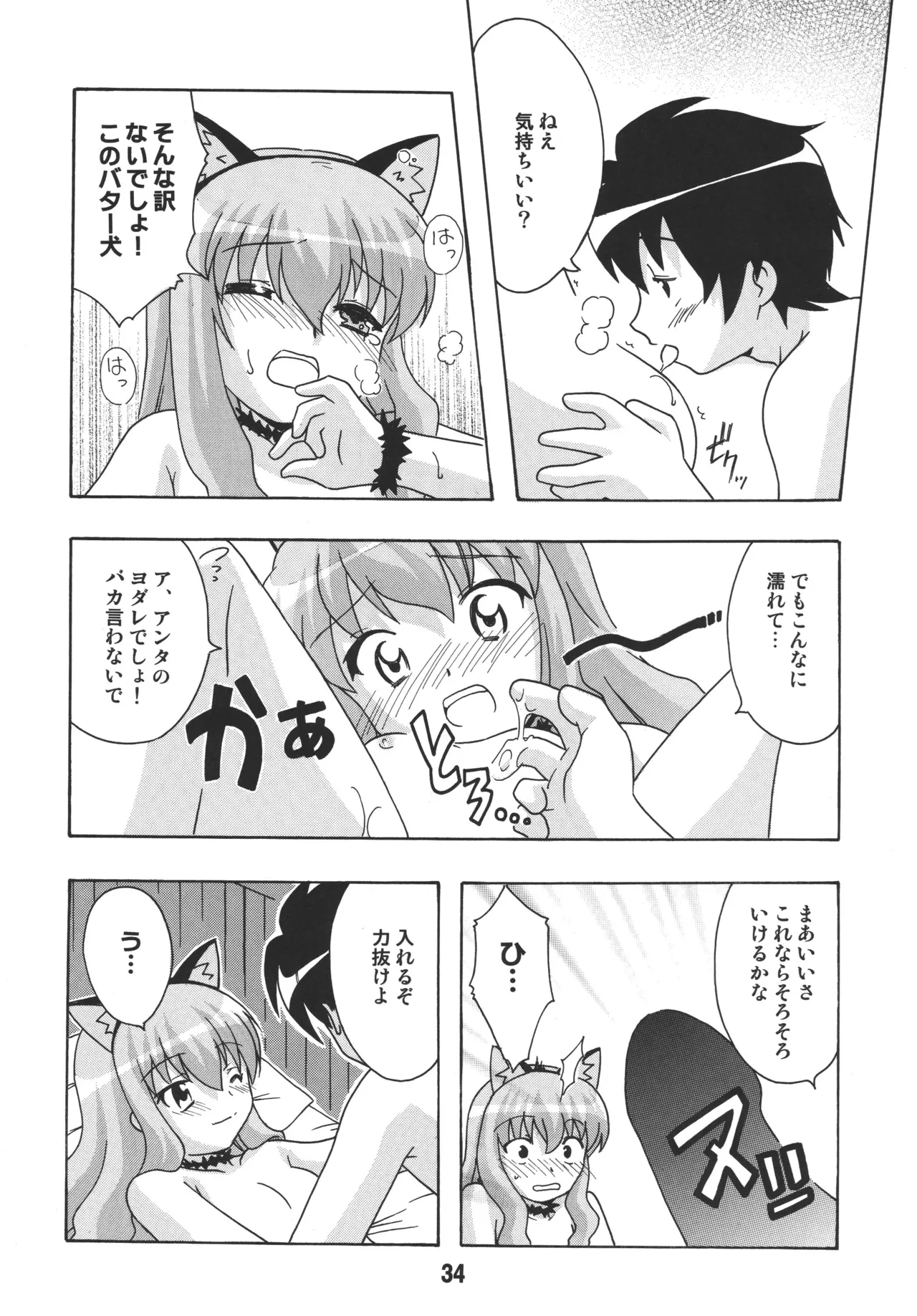 ルイズックス Page.33