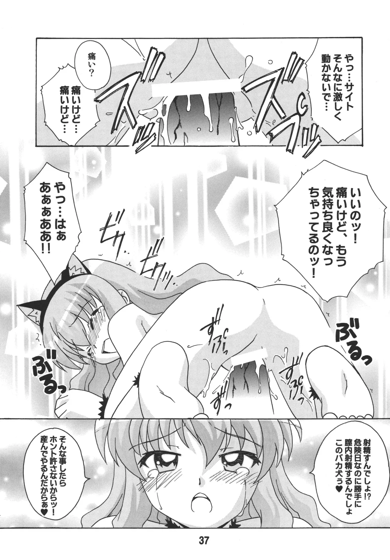 ルイズックス Page.36