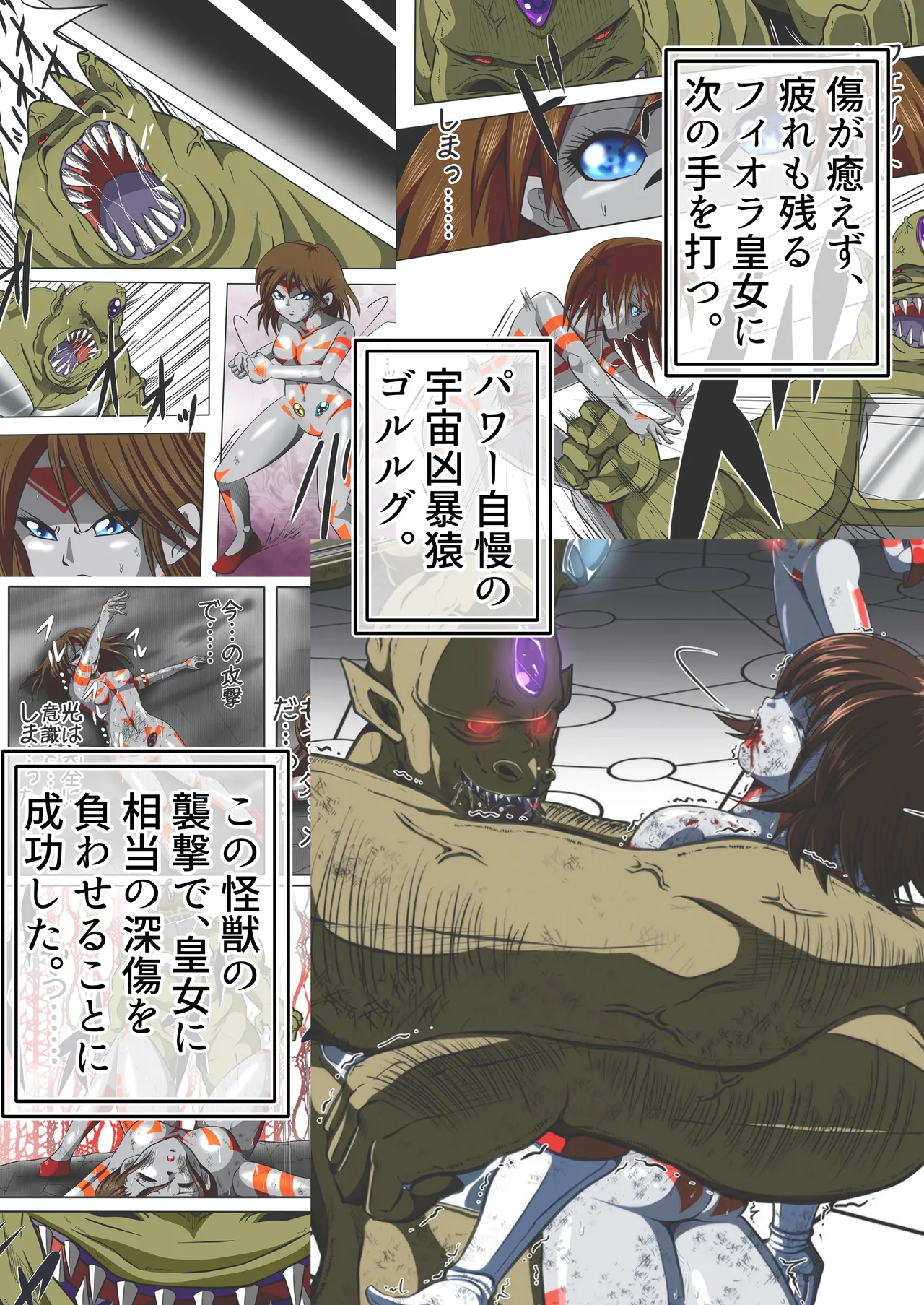 フィオラ クライシスⅤ Page.4