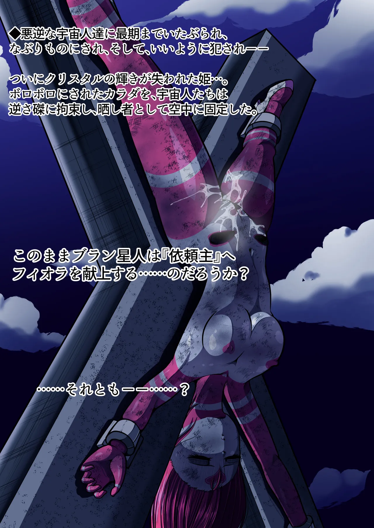 フィオラクライシスⅥ Page.13