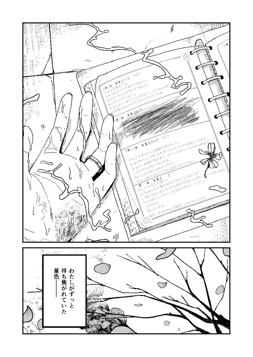 [豆六] 木村先生観察日記 Page.47