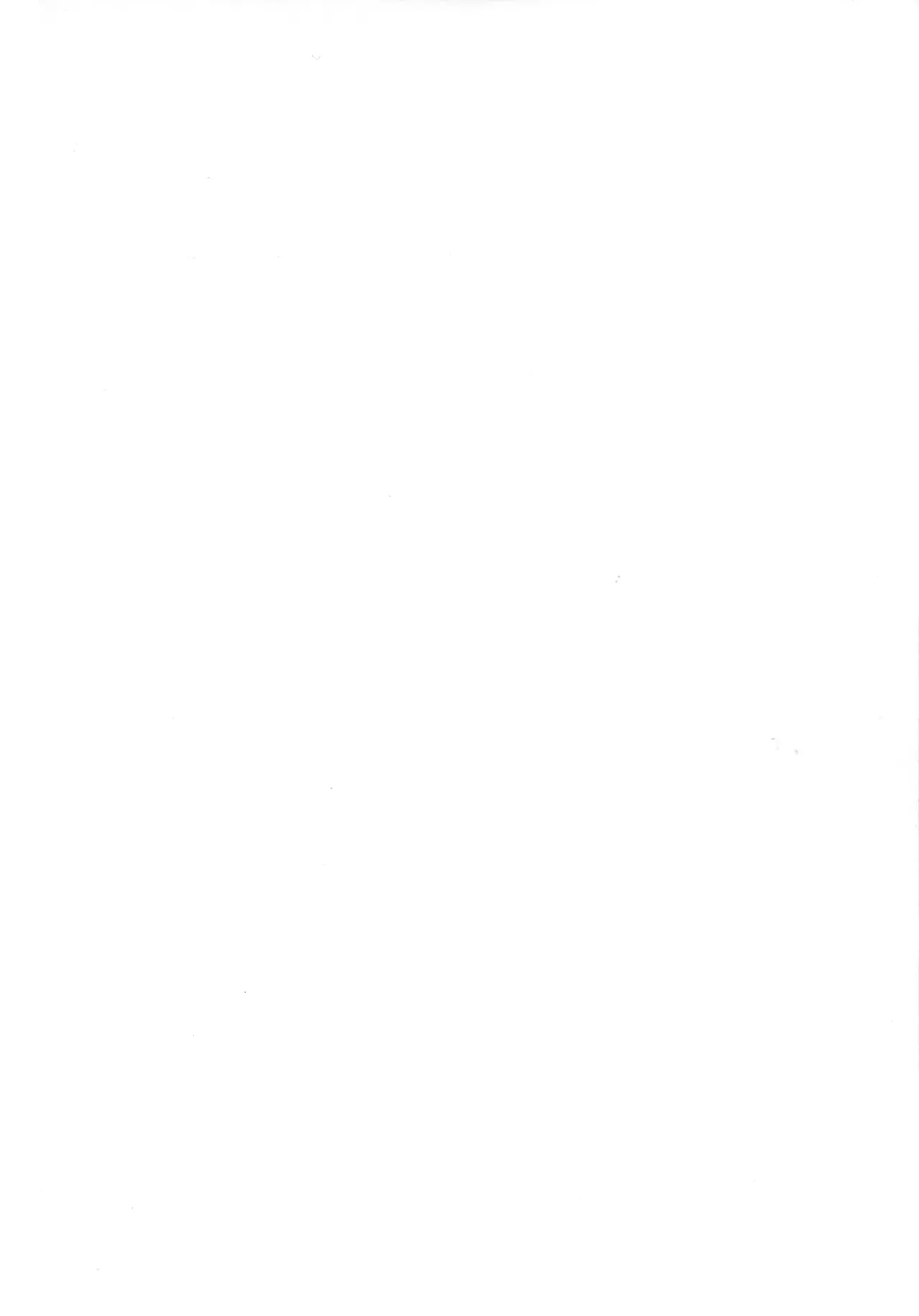 (C102) [焼酎MAC (ほずみけんじ)] アマンダママンとオフパコ三昧! Page.4