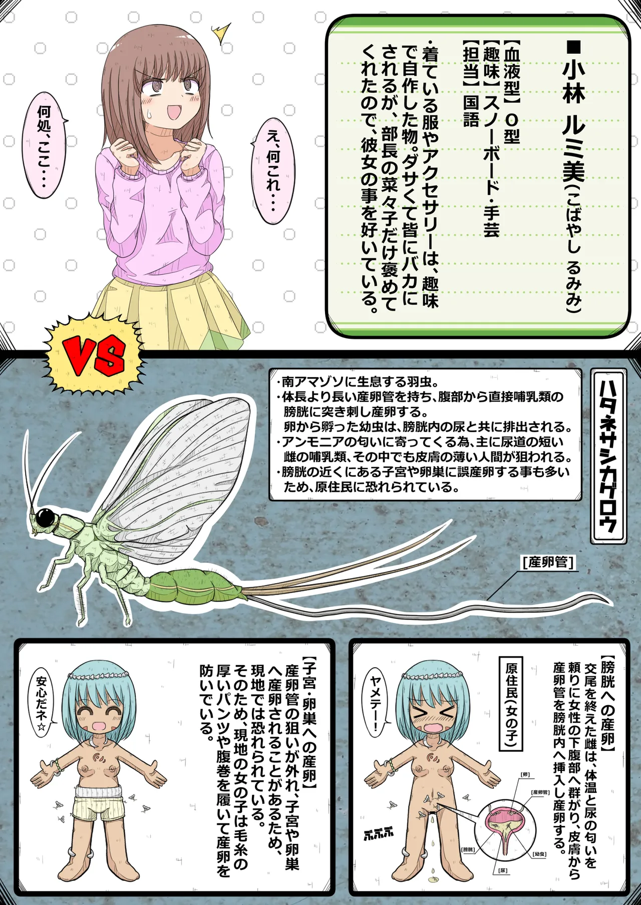 [ナンサークル]卵巣快楽研究部～顧問の卵巣を掌握せよ！の巻き～ Page.6