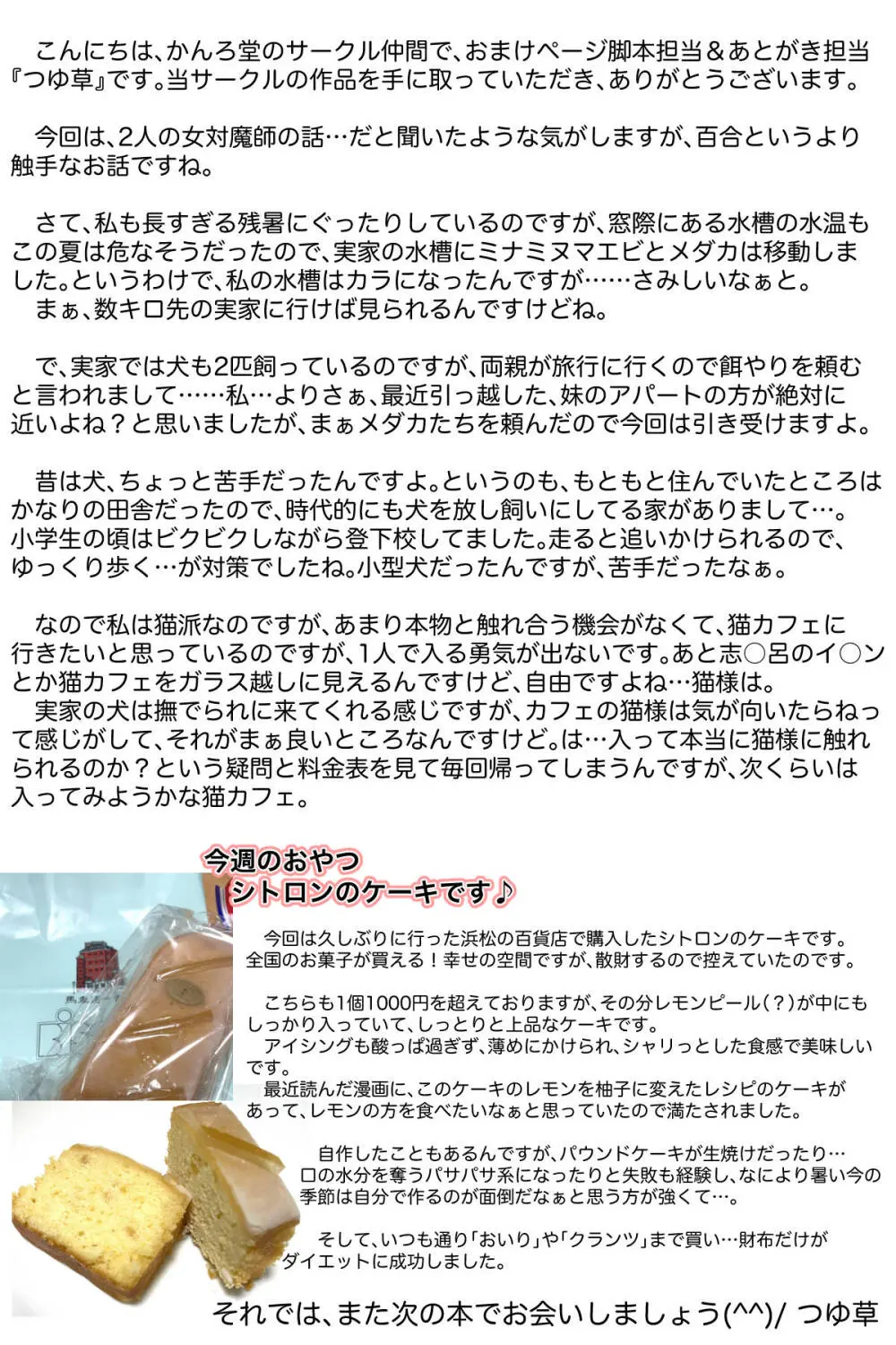 [かんろ堂アート (かんろ堂)] 敗北した2人の対魔師触手責め Page.47