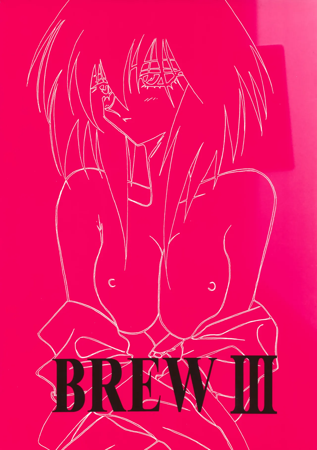 (C54) [岩崎製本所 (岩崎晶)] BREW III (星方武侠アウトロースター)