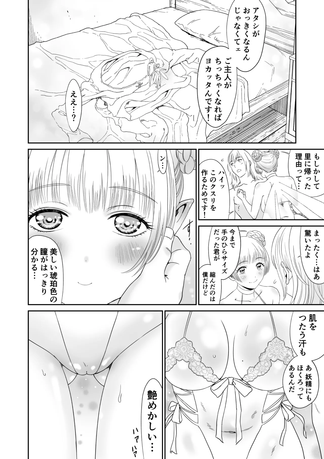 [有幻草原] 妖精でも入れサセたい！ Page.18