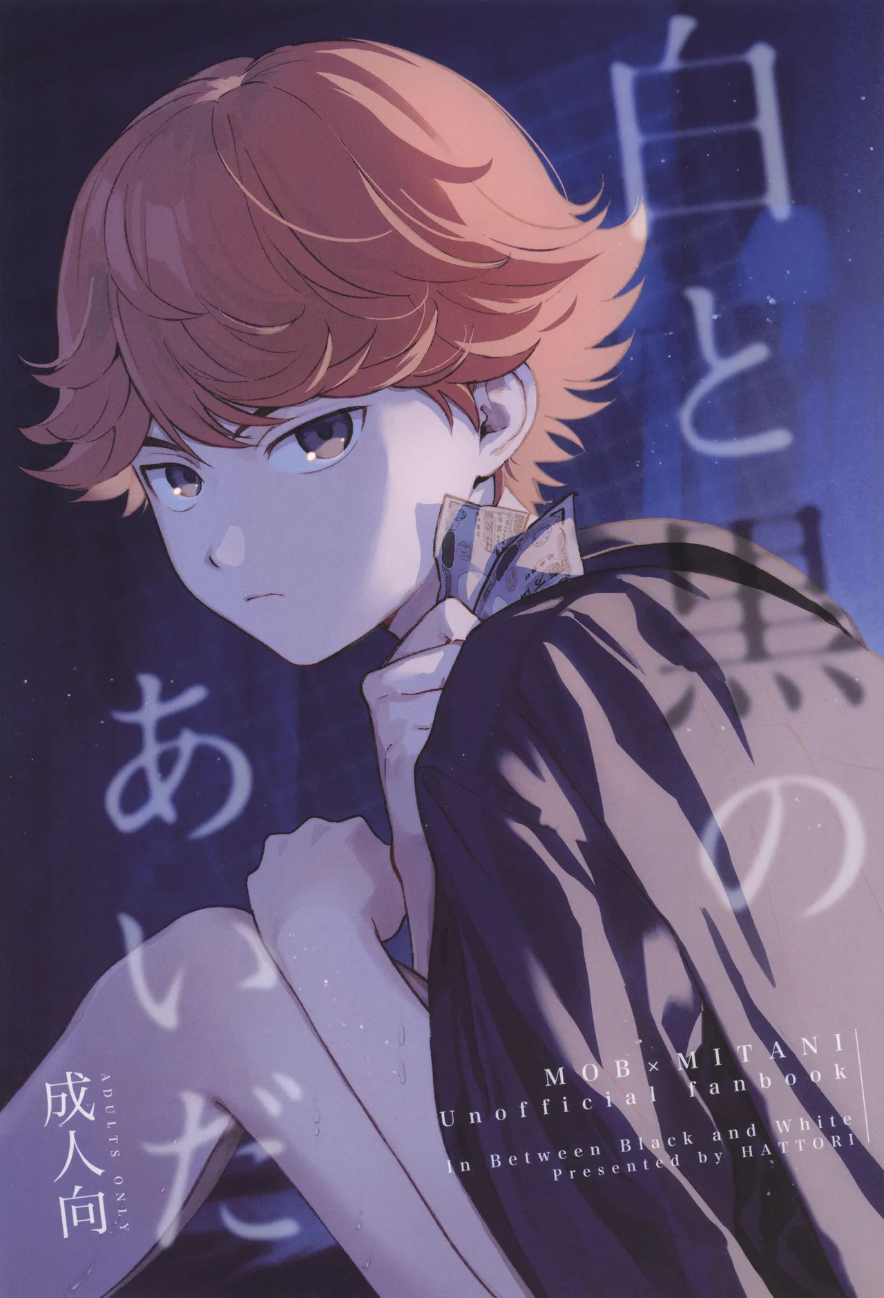 [はっとり (鳥類)] 白と黒のあいだ (ヒカルの碁)